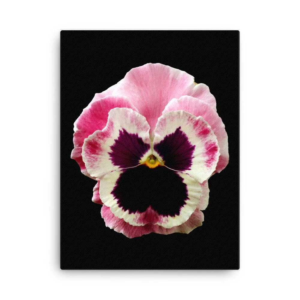 https://i.etsystatic.com/16519884/r/il/3a454a/2184585711/il_fullxfull.2184585711_8z02.jpg