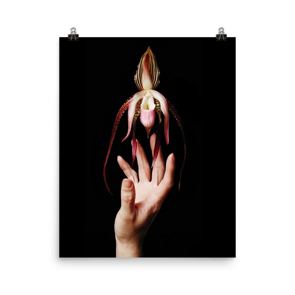 https://i.etsystatic.com/16519884/r/il/483ea9/2141245908/il_fullxfull.2141245908_3l93.jpg