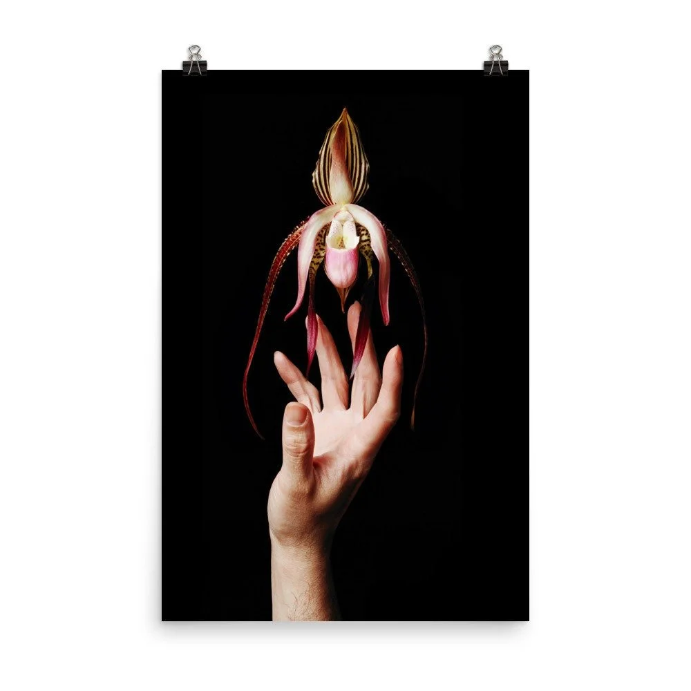 https://i.etsystatic.com/16519884/r/il/75b141/2188796855/il_fullxfull.2188796855_j6k8.jpg