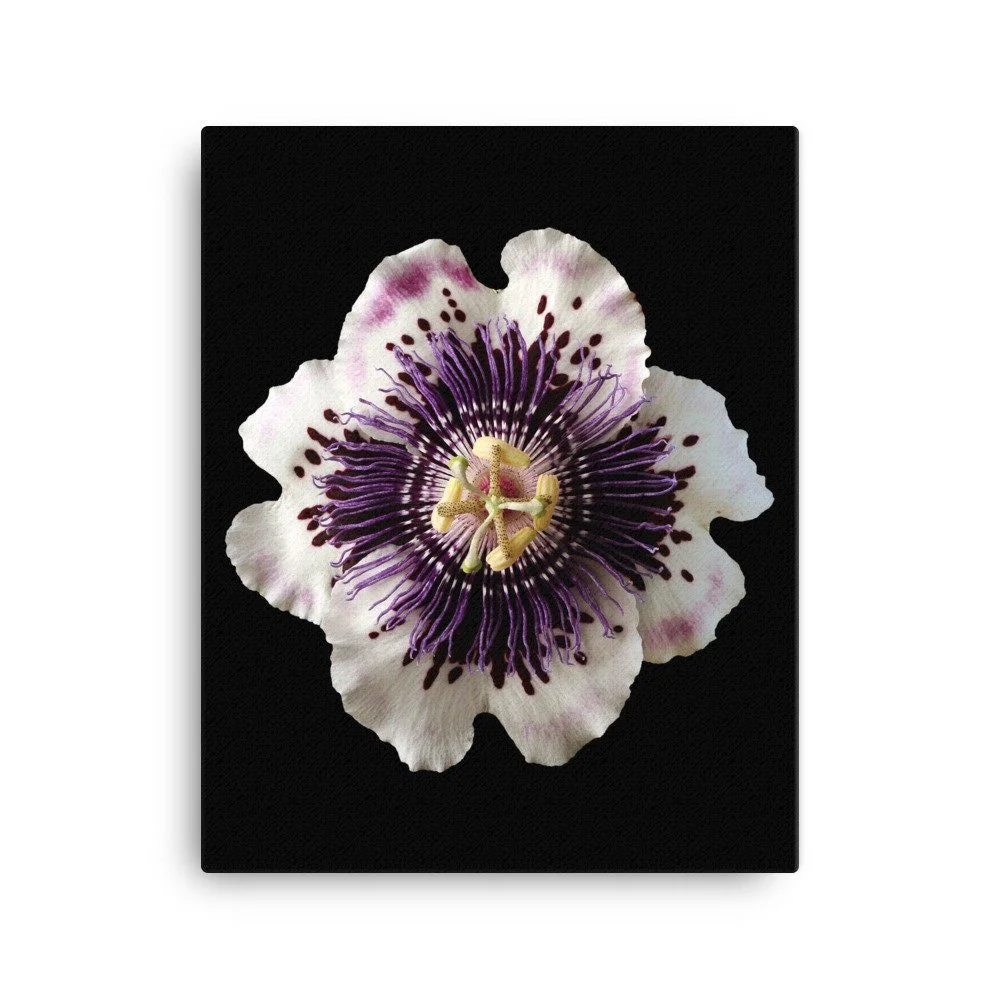 https://i.etsystatic.com/16519884/r/il/02d75a/2137070544/il_fullxfull.2137070544_o20o.jpg