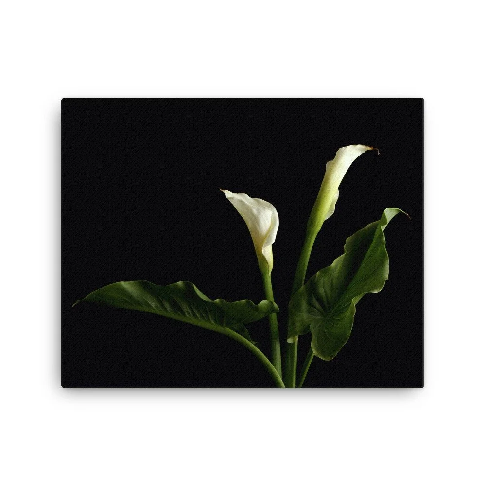 https://i.etsystatic.com/16519884/r/il/f33e6e/2186795295/il_fullxfull.2186795295_medp.jpg