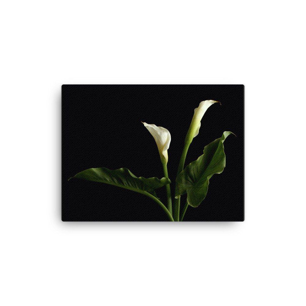 https://i.etsystatic.com/16519884/r/il/0cedb4/2139244374/il_fullxfull.2139244374_d7pc.jpg
