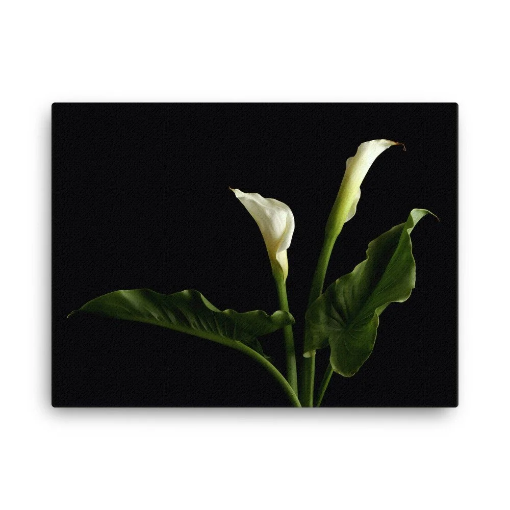 https://i.etsystatic.com/16519884/r/il/c044da/2139244284/il_fullxfull.2139244284_lsa1.jpg