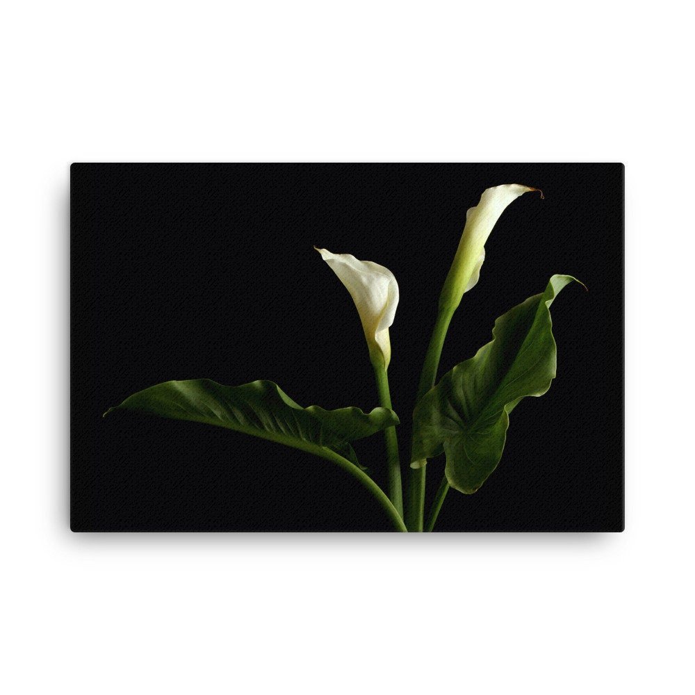 https://i.etsystatic.com/16519884/r/il/900015/2186794459/il_fullxfull.2186794459_81nx.jpg