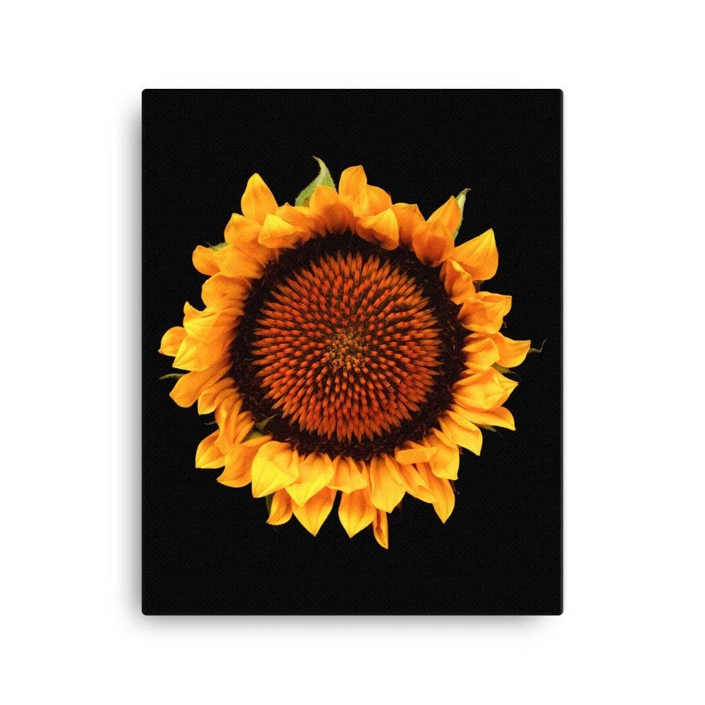 https://i.etsystatic.com/16519884/r/il/75c3e5/2137584692/il_fullxfull.2137584692_8yf0.jpg