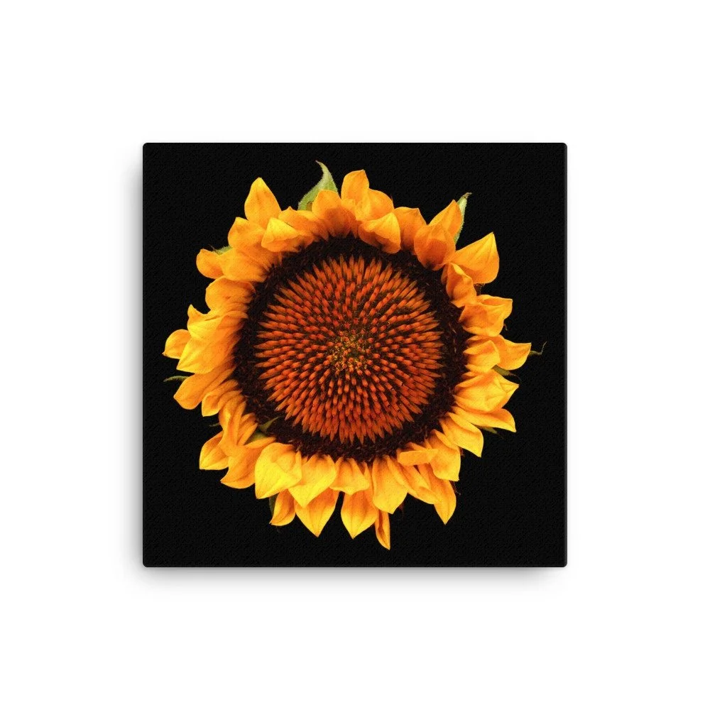 https://i.etsystatic.com/16519884/r/il/23ce6e/2137584678/il_fullxfull.2137584678_risl.jpg