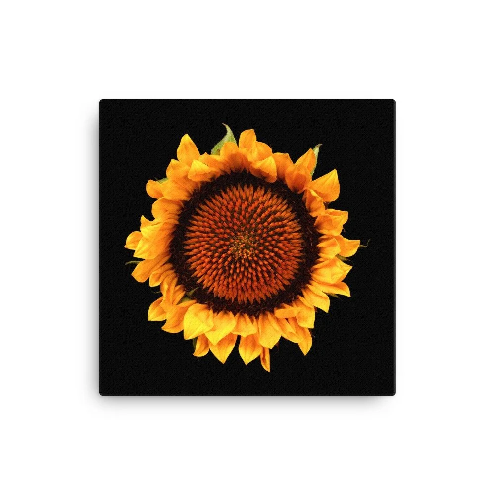 https://i.etsystatic.com/16519884/r/il/31d352/2185136009/il_fullxfull.2185136009_9u4r.jpg