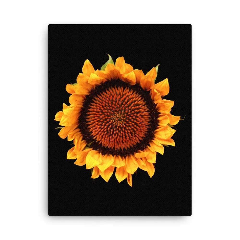 https://i.etsystatic.com/16519884/r/il/7b93e2/2137584618/il_fullxfull.2137584618_ti9v.jpg