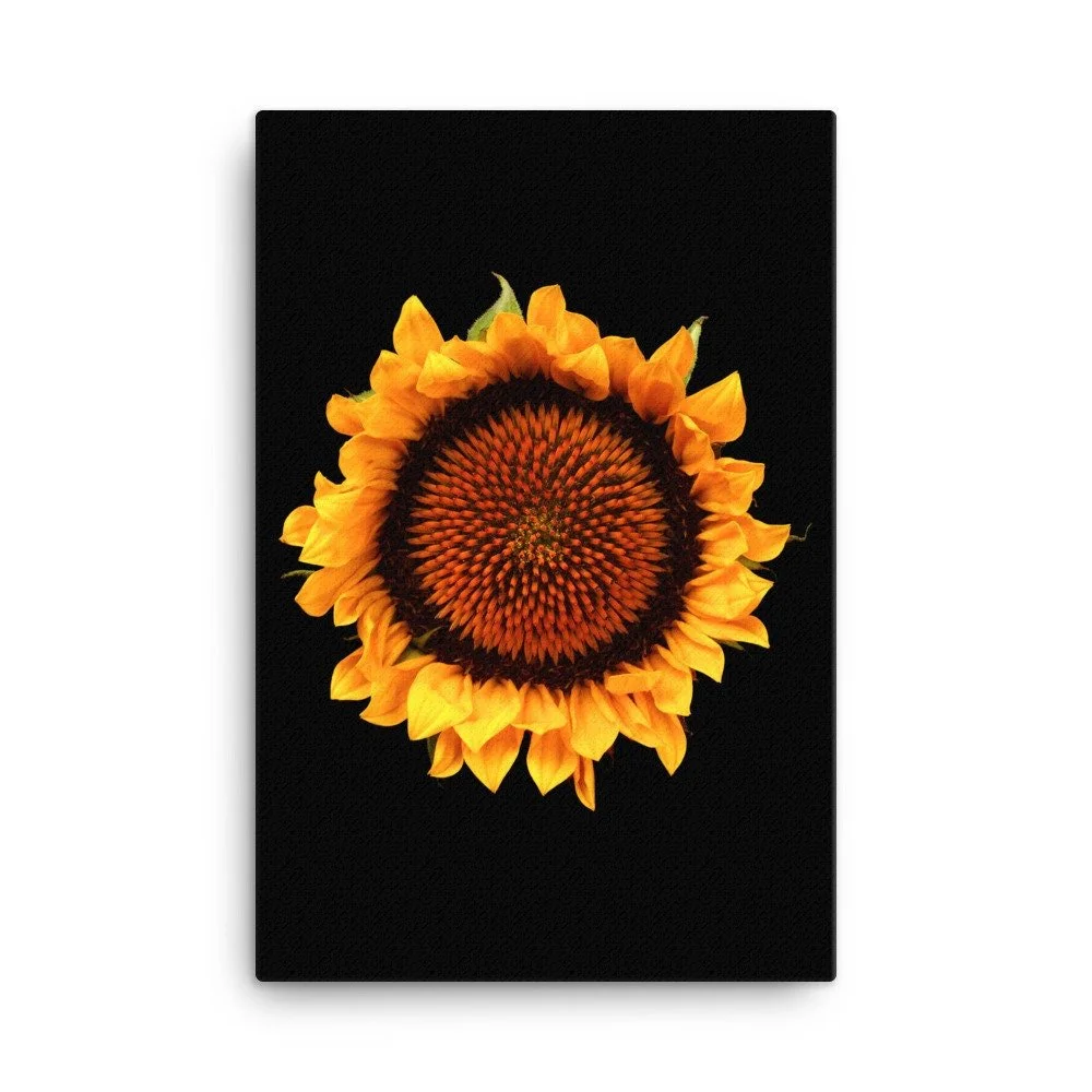 https://i.etsystatic.com/16519884/r/il/cae9f0/2185135961/il_fullxfull.2185135961_8dlb.jpg