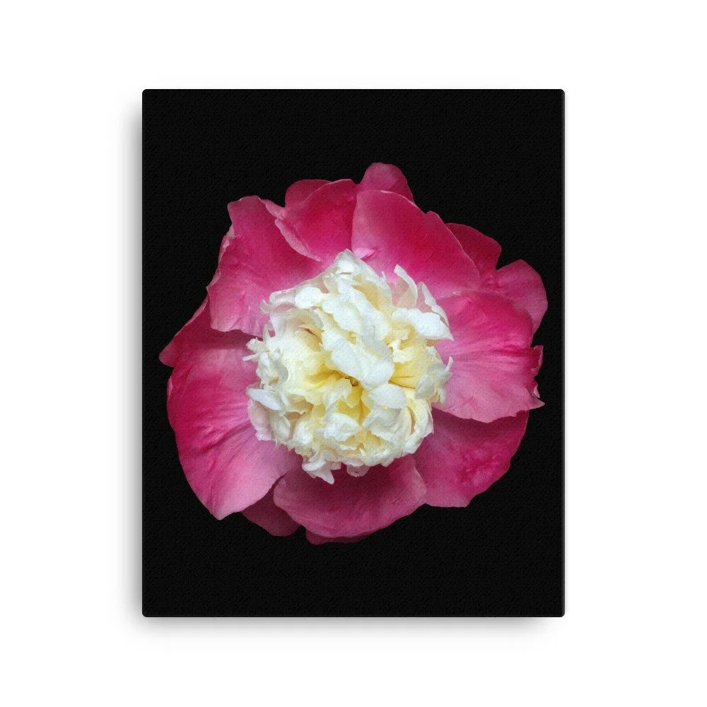 https://i.etsystatic.com/16519884/r/il/e1681c/2137464674/il_fullxfull.2137464674_qv90.jpg