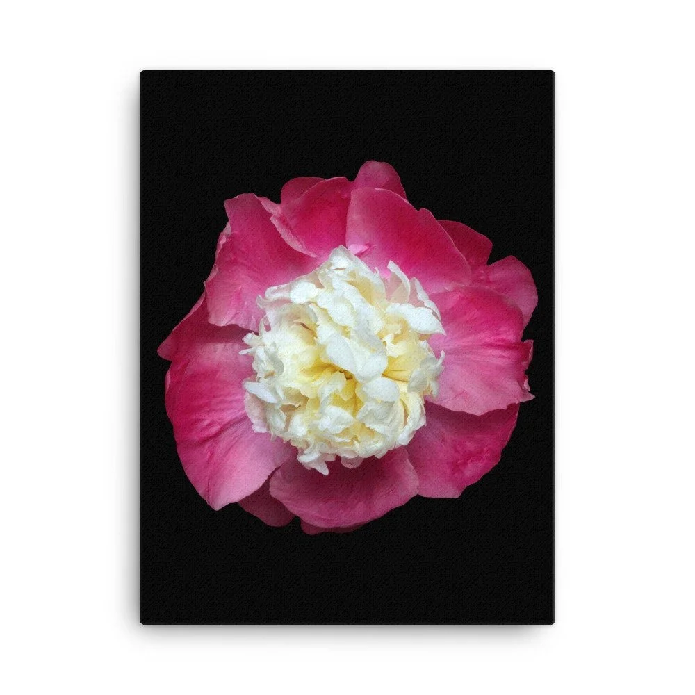 https://i.etsystatic.com/16519884/r/il/4891e1/2137464568/il_fullxfull.2137464568_41id.jpg