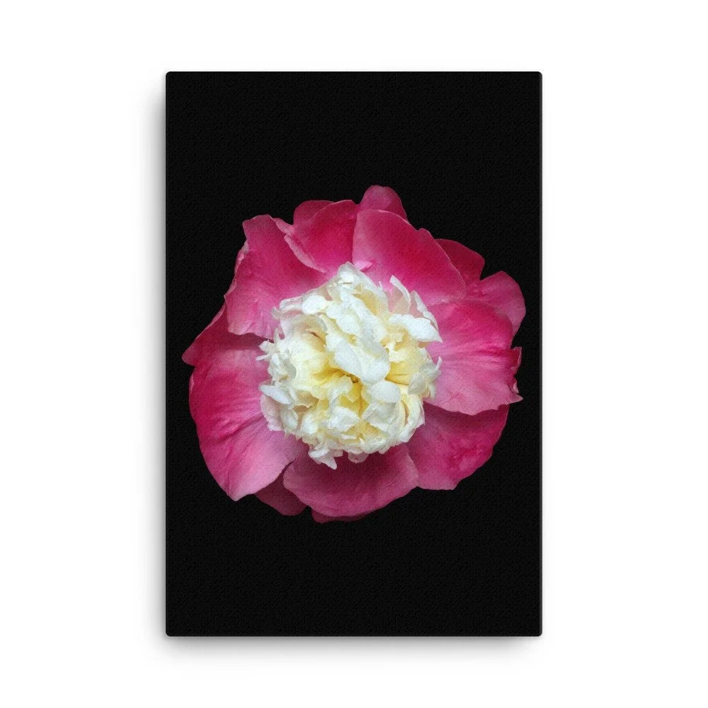https://i.etsystatic.com/16519884/r/il/89f32f/2137464516/il_fullxfull.2137464516_b406.jpg