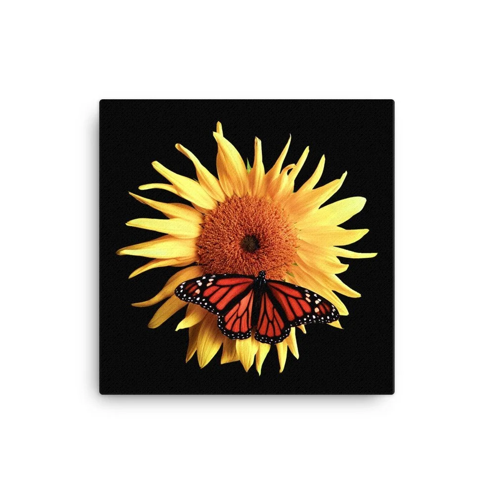 https://i.etsystatic.com/16519884/r/il/f29325/2138582584/il_fullxfull.2138582584_fw29.jpg