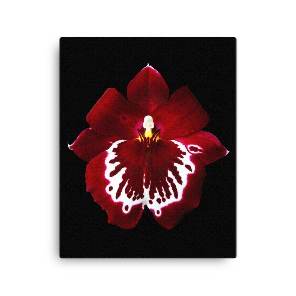 https://i.etsystatic.com/16519884/r/il/4ac414/2186567957/il_fullxfull.2186567957_rv0g.jpg