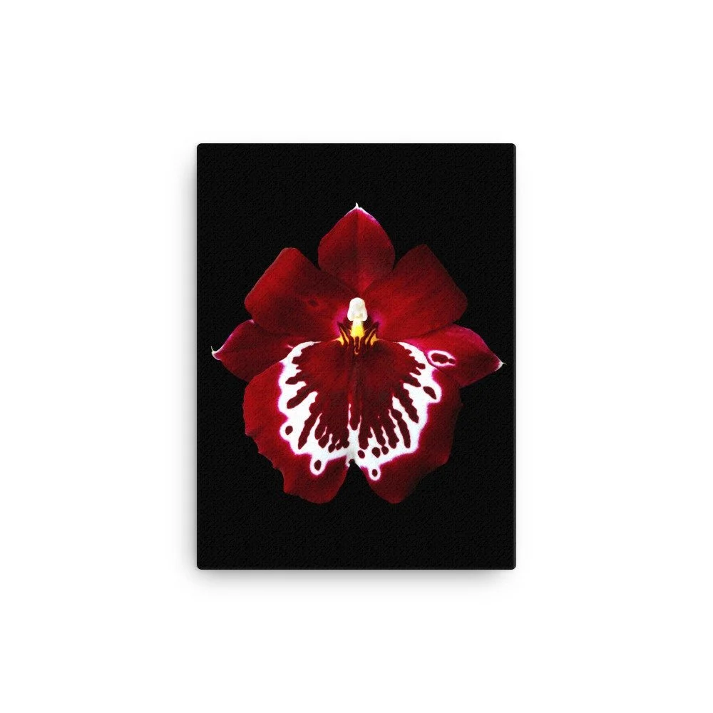 https://i.etsystatic.com/16519884/r/il/ce5a1f/2186567927/il_fullxfull.2186567927_iqb7.jpg
