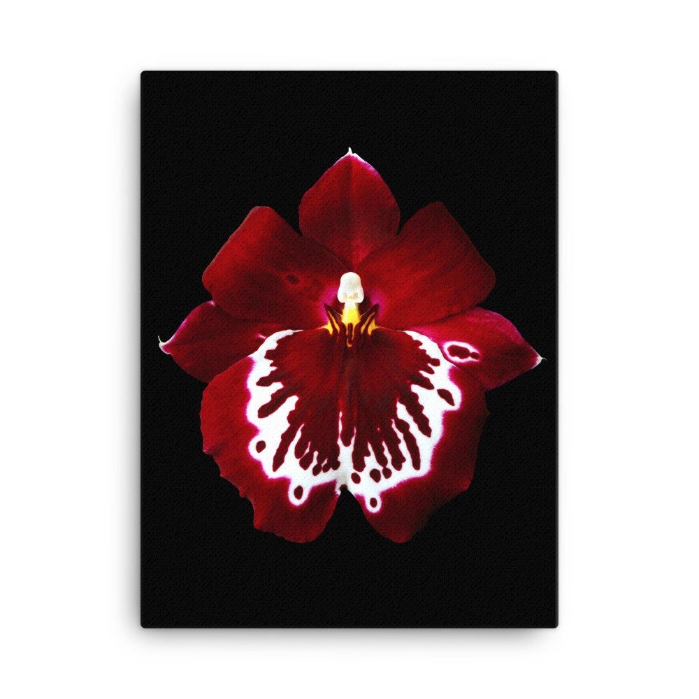 https://i.etsystatic.com/16519884/r/il/08d0d1/2139017552/il_fullxfull.2139017552_hage.jpg