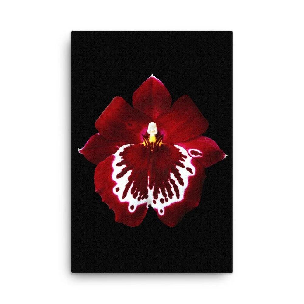 https://i.etsystatic.com/16519884/r/il/a5b7c9/2186567845/il_fullxfull.2186567845_3r7k.jpg