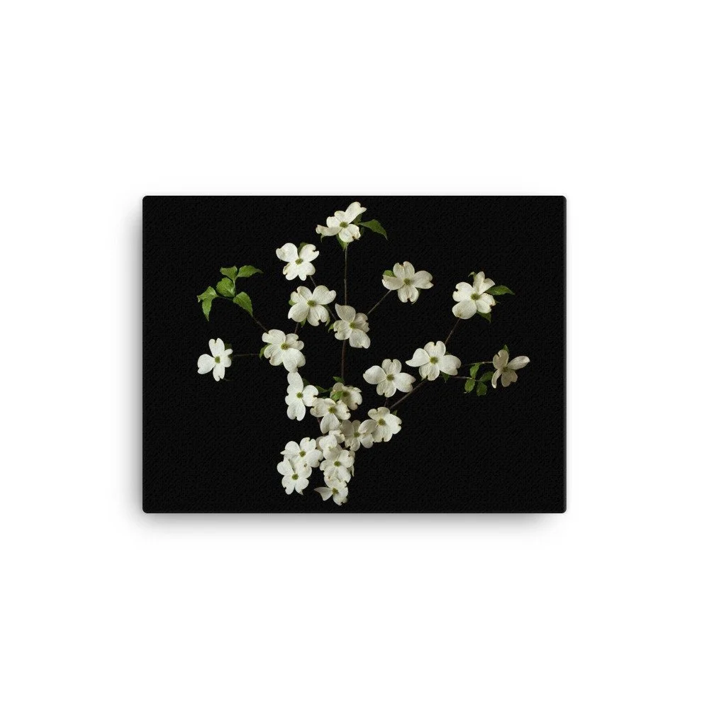 https://i.etsystatic.com/16519884/r/il/d4b6bf/2139076632/il_fullxfull.2139076632_6ojs.jpg