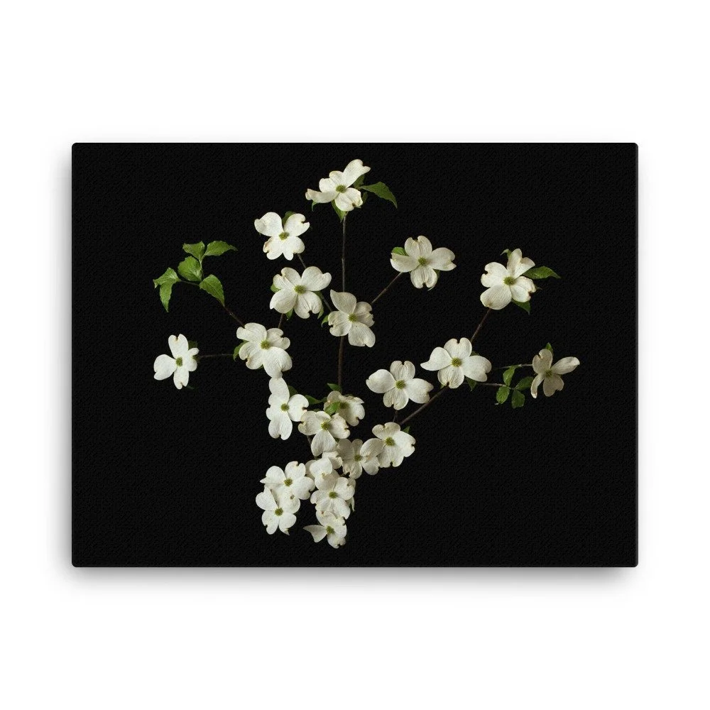 https://i.etsystatic.com/16519884/r/il/896aae/2186626537/il_fullxfull.2186626537_ht9f.jpg