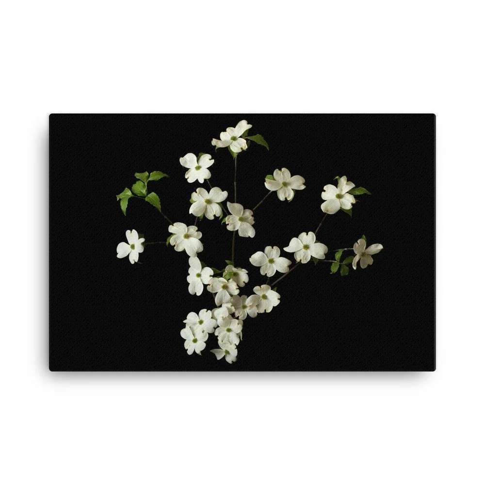 https://i.etsystatic.com/16519884/r/il/78dd16/2186626497/il_fullxfull.2186626497_4r4w.jpg