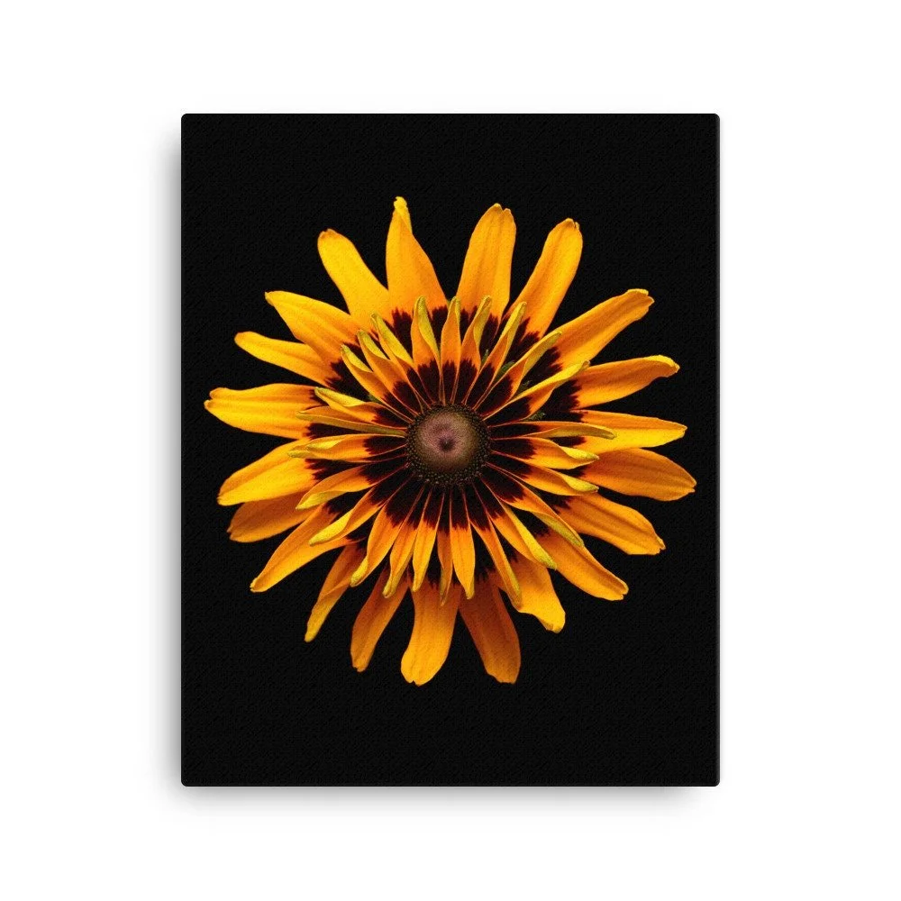 https://i.etsystatic.com/16519884/r/il/af0f2a/2184990317/il_fullxfull.2184990317_miqn.jpg