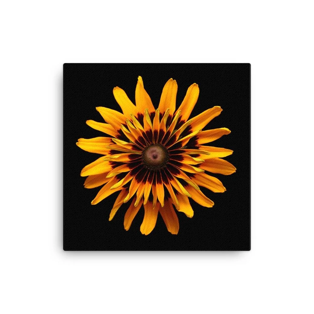https://i.etsystatic.com/16519884/r/il/3c1d7d/2184990273/il_fullxfull.2184990273_tudh.jpg
