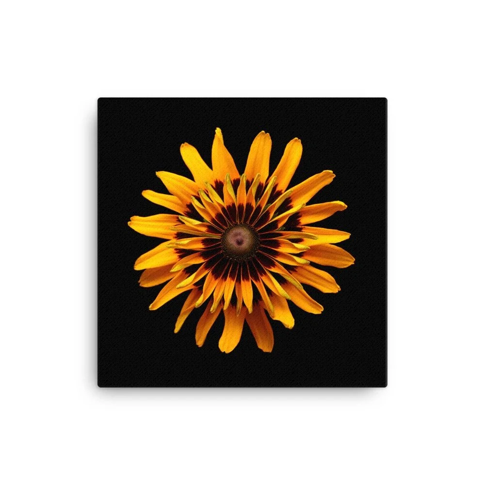 https://i.etsystatic.com/16519884/r/il/00eb7c/2137438928/il_fullxfull.2137438928_e18w.jpg