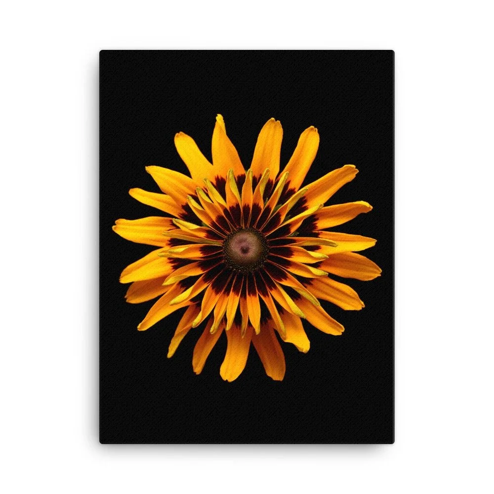 https://i.etsystatic.com/16519884/r/il/27135f/2184990219/il_fullxfull.2184990219_r1j3.jpg