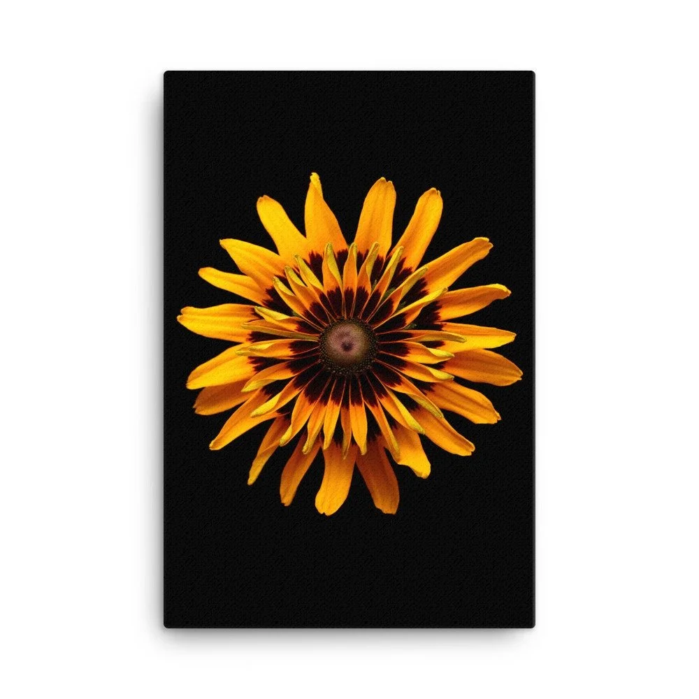 https://i.etsystatic.com/16519884/r/il/7131e2/2184990185/il_fullxfull.2184990185_n3yb.jpg