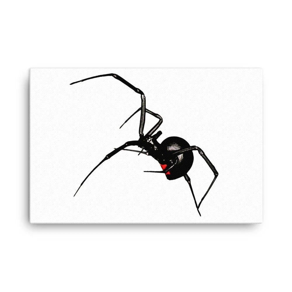 https://i.etsystatic.com/16519884/r/il/2e39a1/2137937216/il_fullxfull.2137937216_7nge.jpg