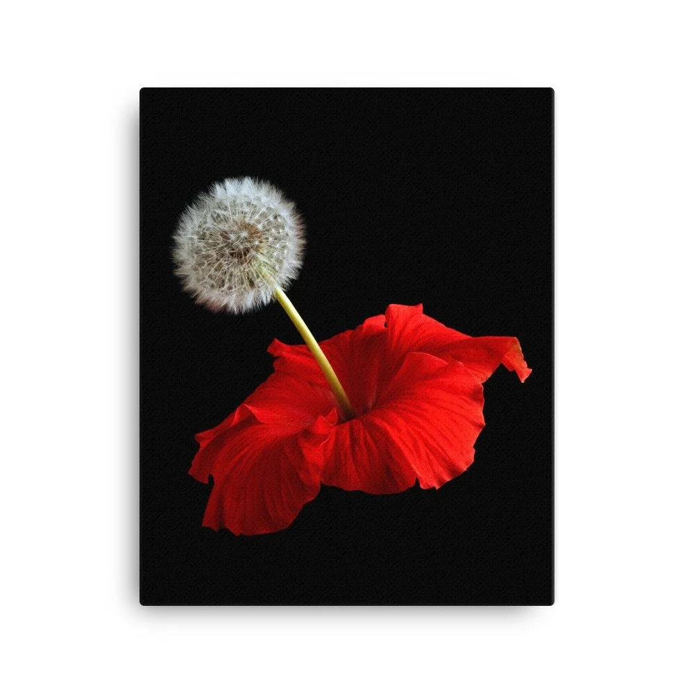 https://i.etsystatic.com/16519884/r/il/a42bcd/2184945849/il_fullxfull.2184945849_hn9k.jpg