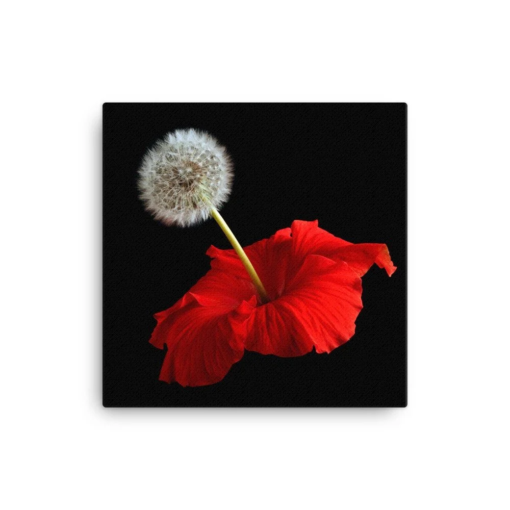 https://i.etsystatic.com/16519884/r/il/caa49f/2184945805/il_fullxfull.2184945805_gsgr.jpg