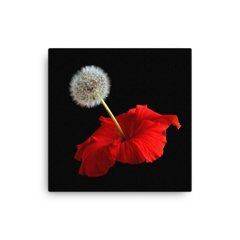 https://i.etsystatic.com/16519884/r/il/3fb7e4/2184945745/il_fullxfull.2184945745_qmh5.jpg