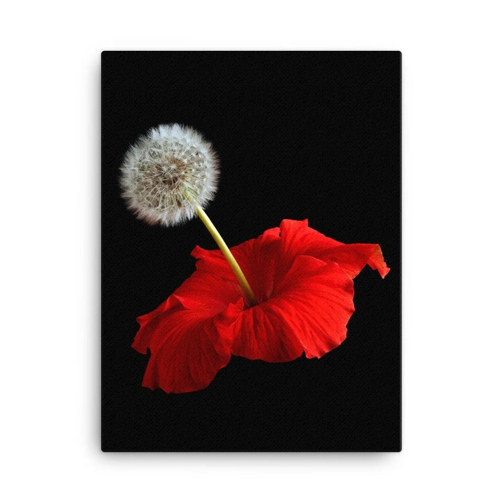 https://i.etsystatic.com/16519884/r/il/f43e03/2184945705/il_fullxfull.2184945705_tf13.jpg