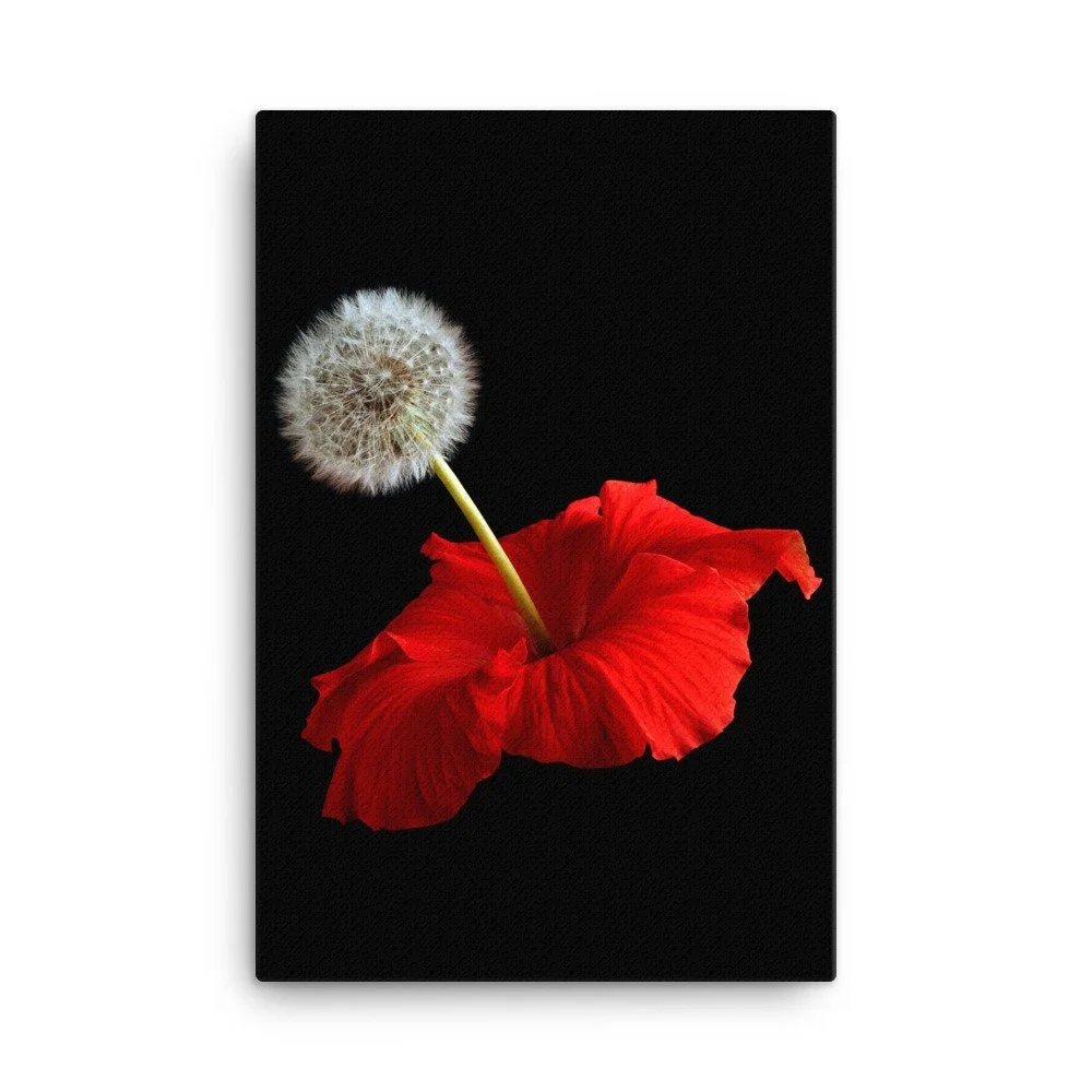 https://i.etsystatic.com/16519884/r/il/3917f7/2137394106/il_fullxfull.2137394106_sisz.jpg