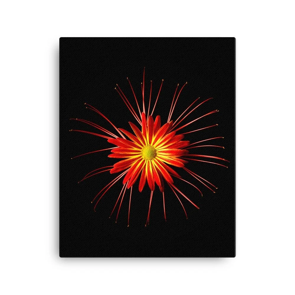 https://i.etsystatic.com/16519884/r/il/3b3f3a/2185021143/il_fullxfull.2185021143_itqy.jpg
