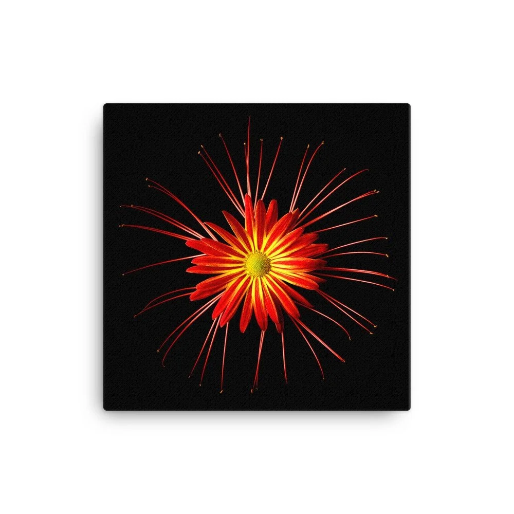 https://i.etsystatic.com/16519884/r/il/c36114/2137469734/il_fullxfull.2137469734_f928.jpg