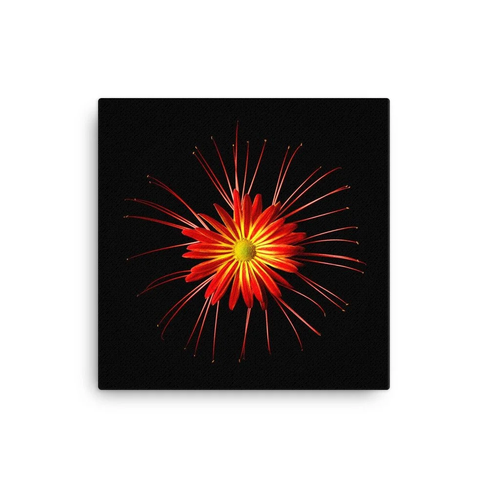 https://i.etsystatic.com/16519884/r/il/59b3c7/2185021077/il_fullxfull.2185021077_lnbm.jpg