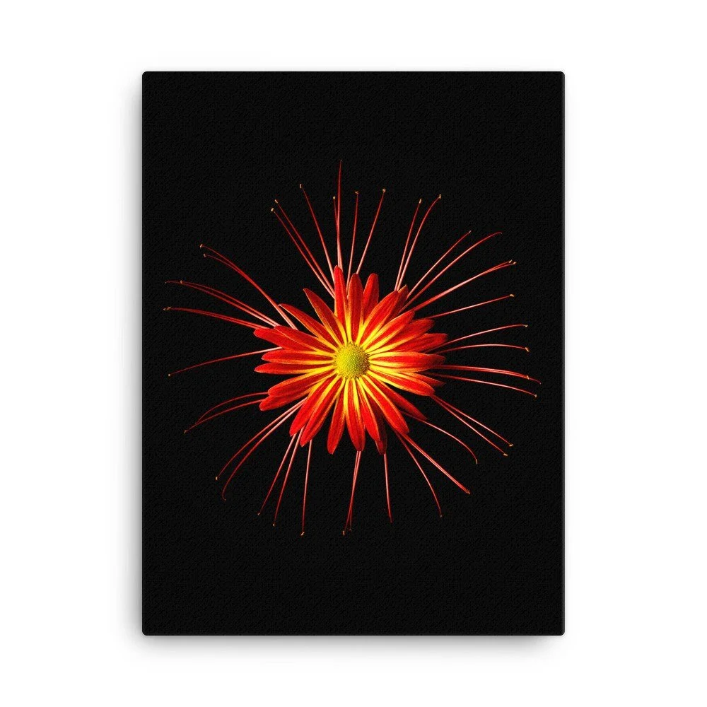 https://i.etsystatic.com/16519884/r/il/708e31/2137469678/il_fullxfull.2137469678_nddo.jpg