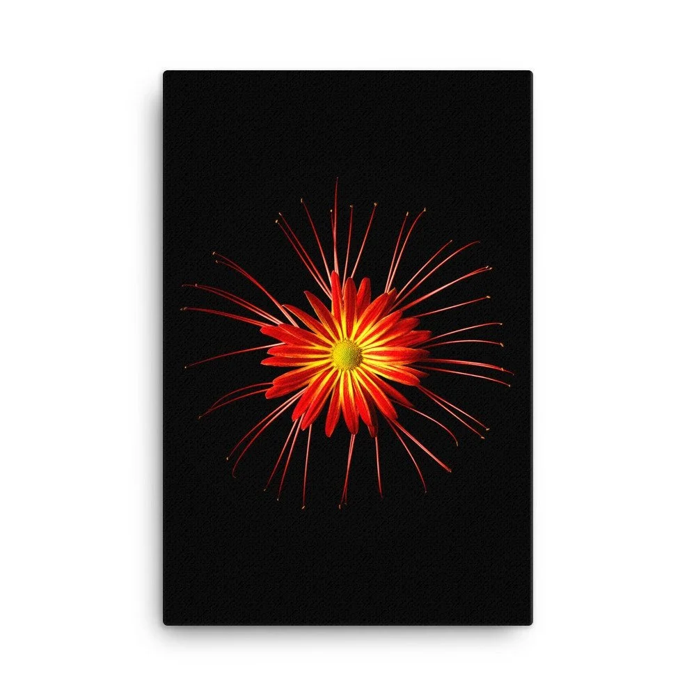 https://i.etsystatic.com/16519884/r/il/4fba70/2185020999/il_fullxfull.2185020999_ep21.jpg