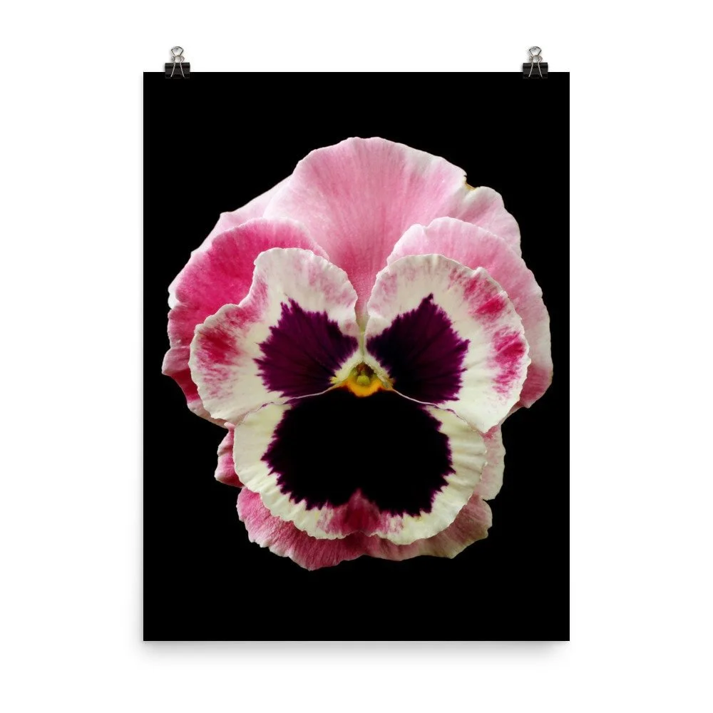https://i.etsystatic.com/16519884/r/il/8ac616/2207610876/il_fullxfull.2207610876_mm9w.jpg