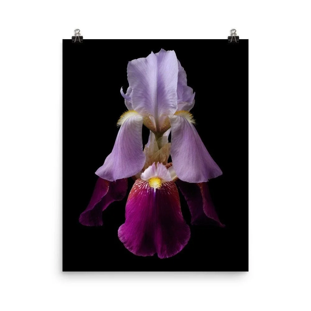 https://i.etsystatic.com/16519884/r/il/2569ab/2207336108/il_fullxfull.2207336108_4d3c.jpg