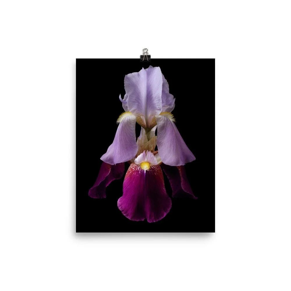 https://i.etsystatic.com/16519884/r/il/0deb95/2254937609/il_fullxfull.2254937609_rvj7.jpg