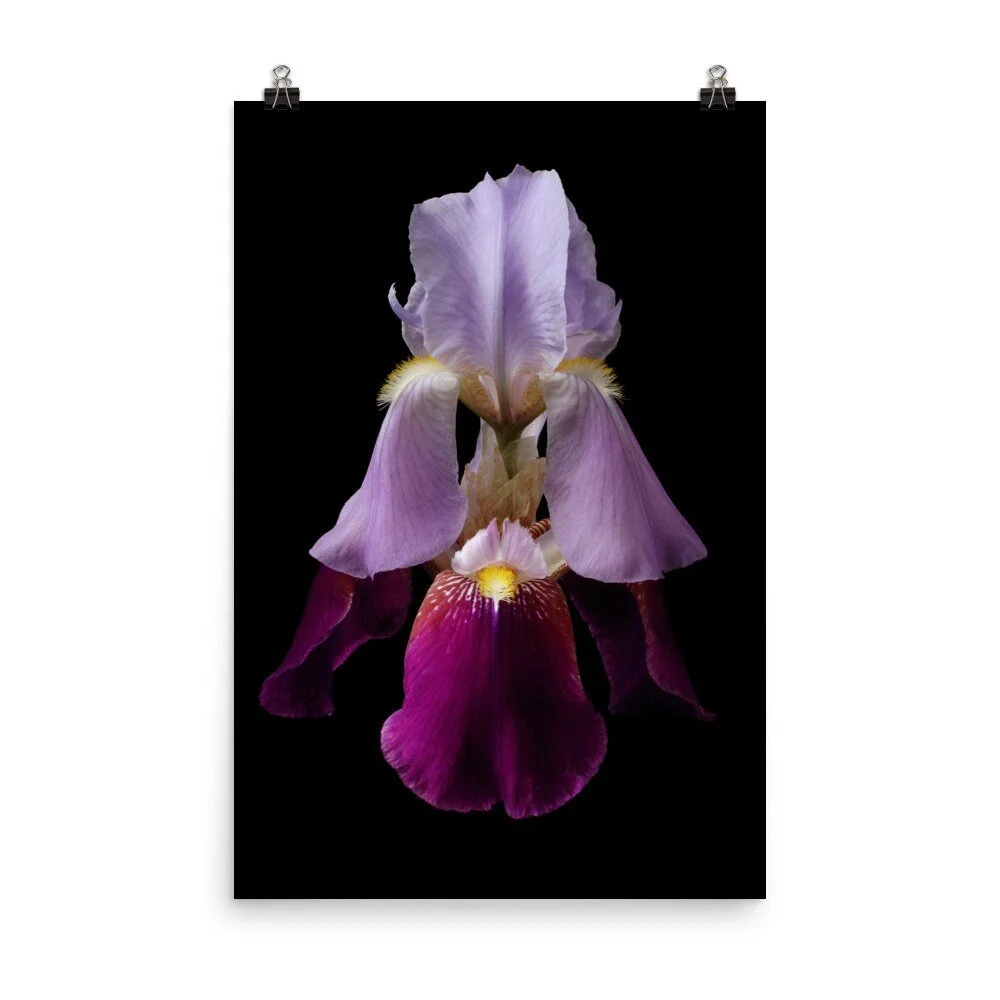 https://i.etsystatic.com/16519884/r/il/2263c3/2254937557/il_fullxfull.2254937557_mfvq.jpg
