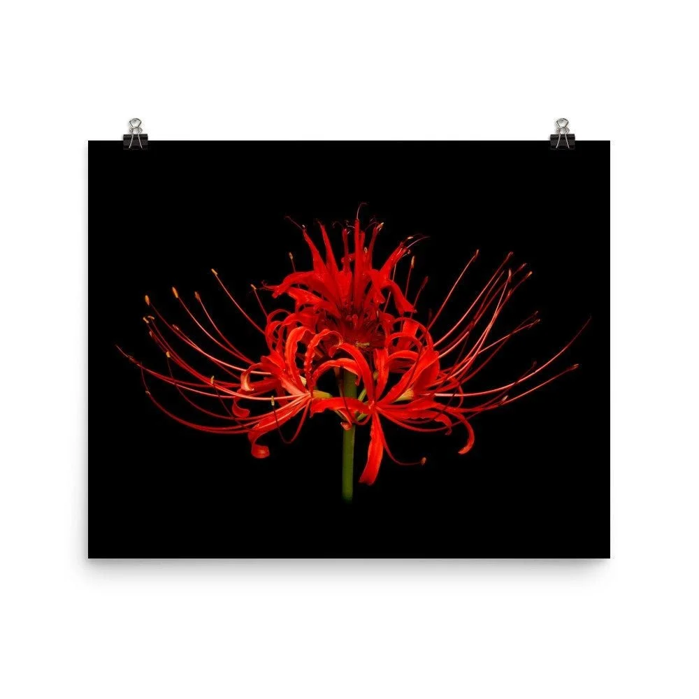 https://i.etsystatic.com/16519884/r/il/b1727a/2161100464/il_fullxfull.2161100464_3wr4.jpg