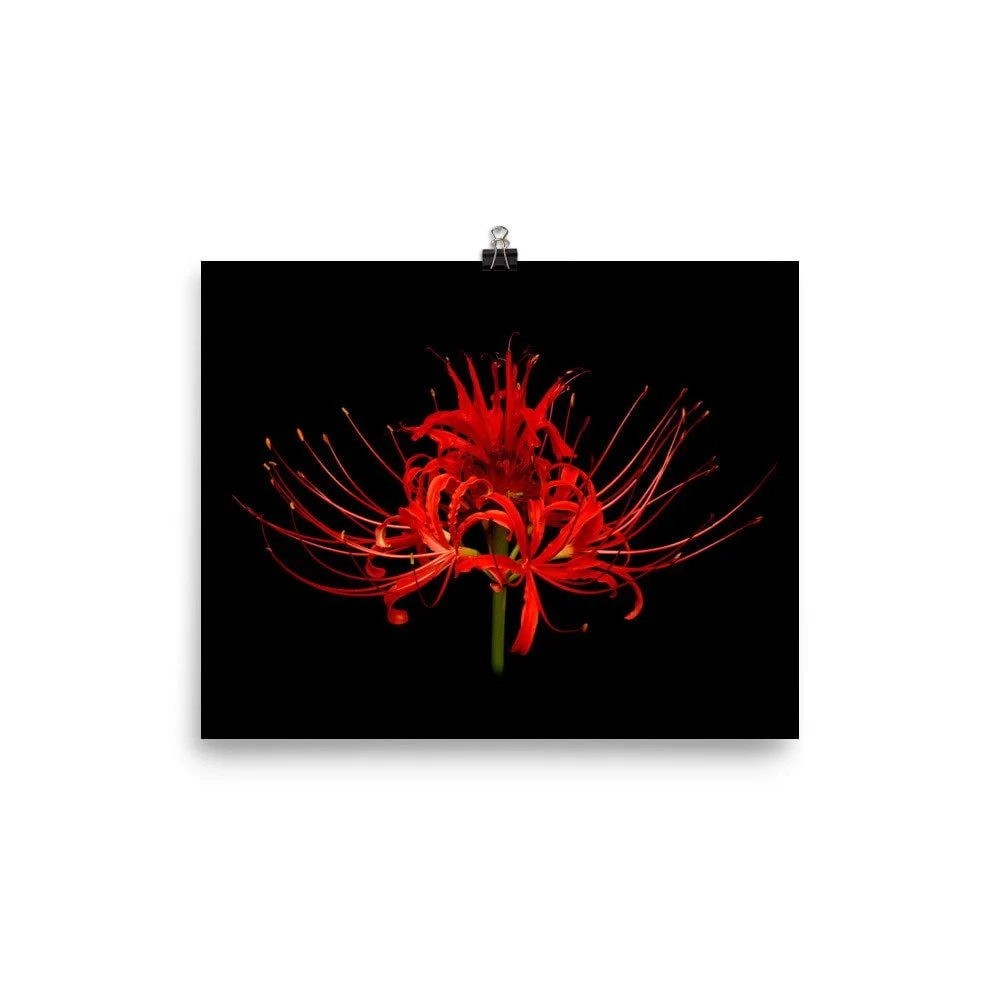 https://i.etsystatic.com/16519884/r/il/abdf03/2161099584/il_fullxfull.2161099584_80wm.jpg