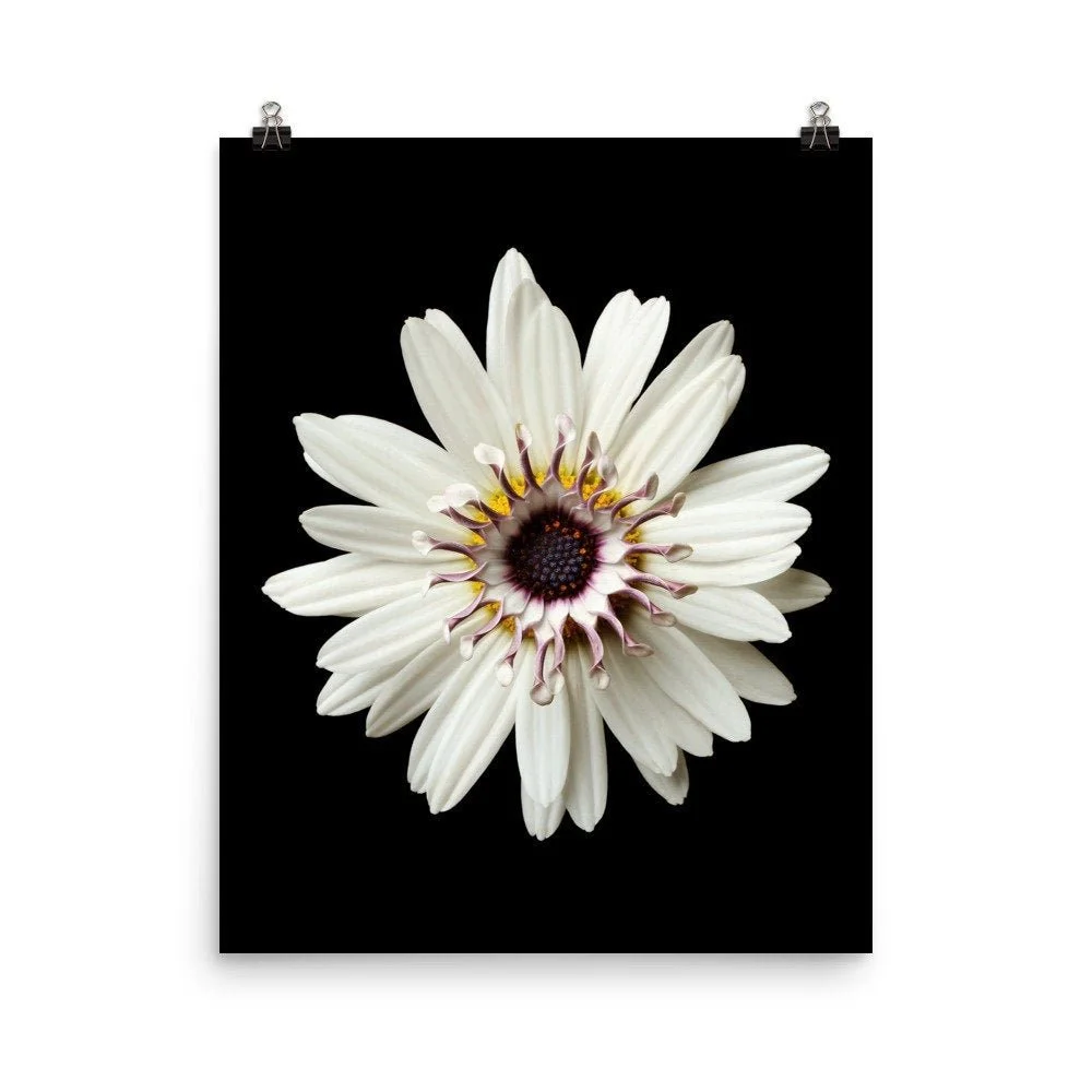 https://i.etsystatic.com/16519884/r/il/817ac9/2286378205/il_fullxfull.2286378205_rpbj.jpg