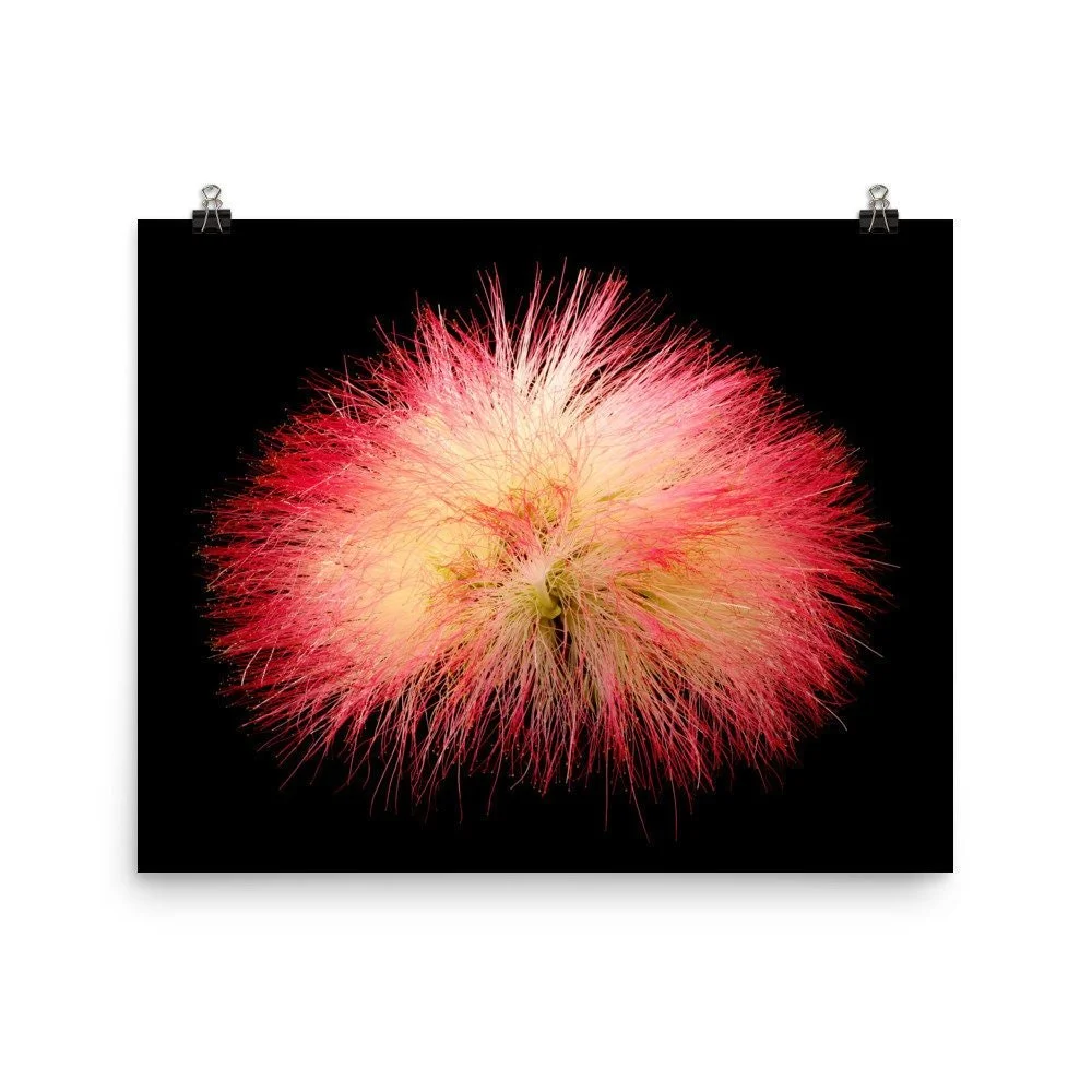 https://i.etsystatic.com/16519884/r/il/96892a/2160991946/il_fullxfull.2160991946_n218.jpg