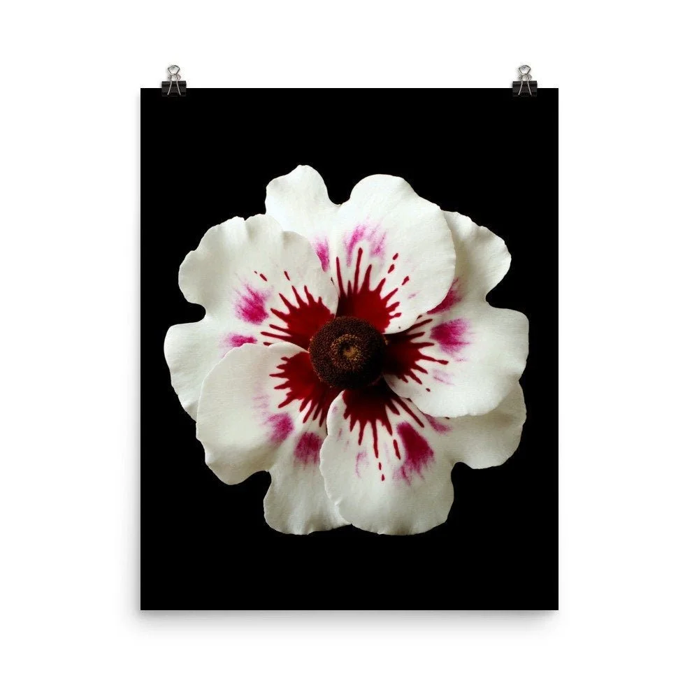 https://i.etsystatic.com/16519884/r/il/9ab940/2237181880/il_fullxfull.2237181880_8uqo.jpg