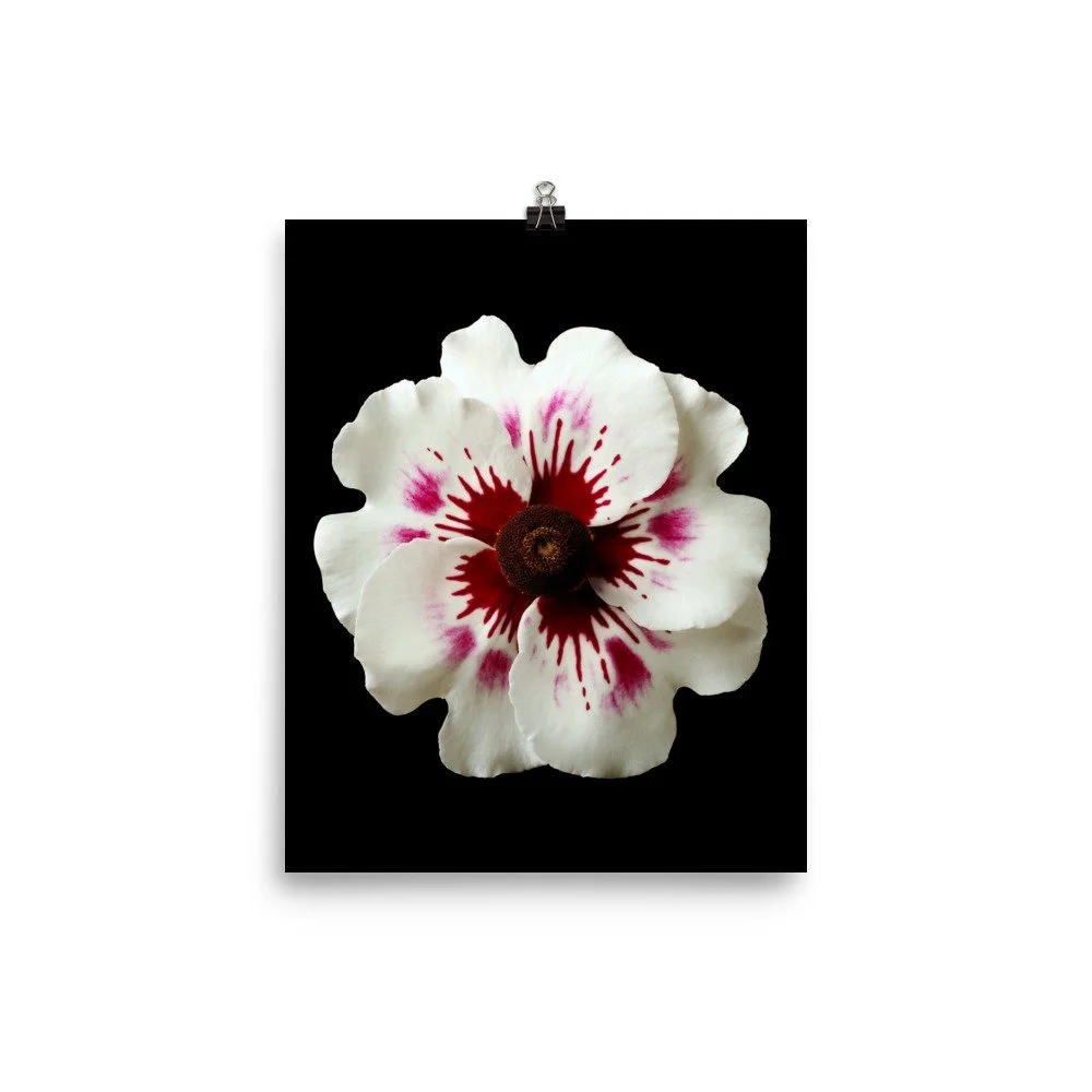 https://i.etsystatic.com/16519884/r/il/602aa4/2284779269/il_fullxfull.2284779269_dlrt.jpg